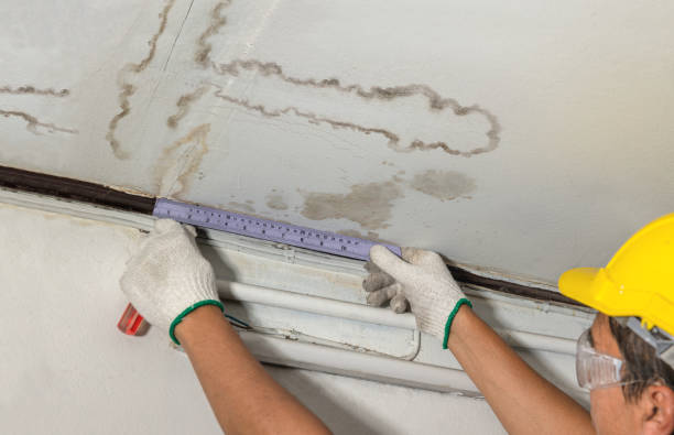 Trusted Basement Flood Cleanup service in Forreston, TX - Aqua Guard Water Damage